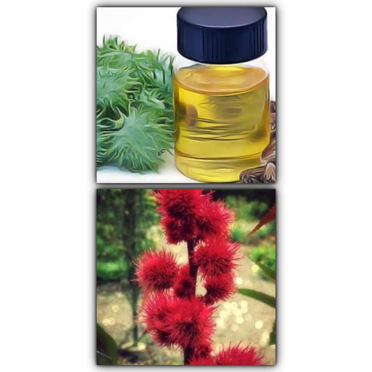 Huile de Ricin Cheveux Arganicare